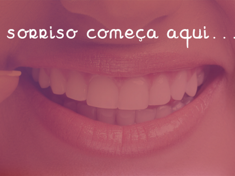 Foto 3 de Sandra Goto Barros