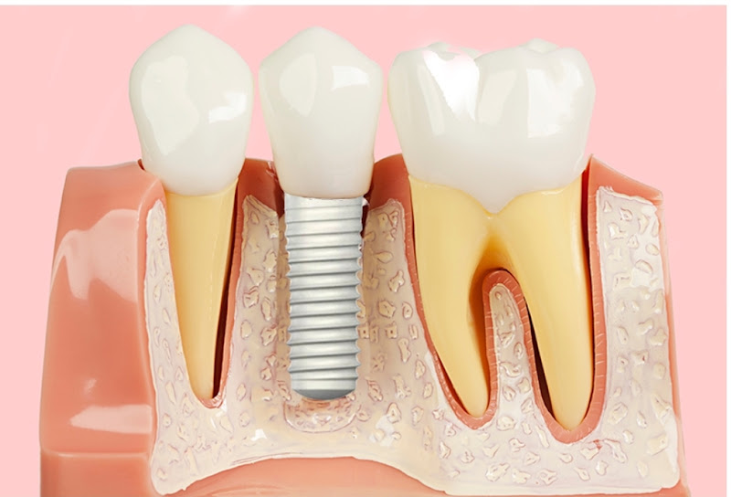 Foto 2 de Sandra Mota Odontologia
