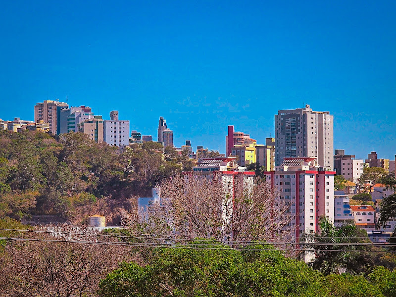 Foto 2 de Santa Monica