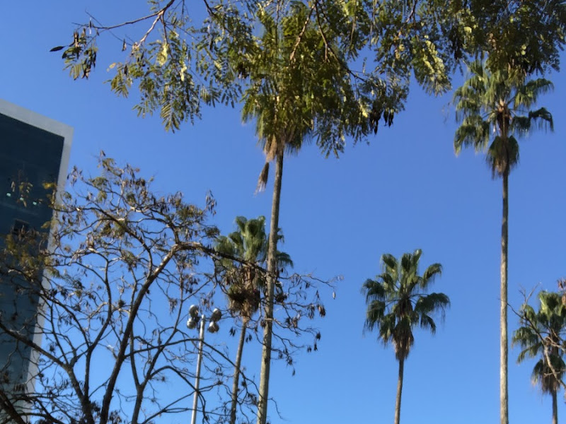 Foto de Santé - Centro Clínico de Cuidado e Saúde