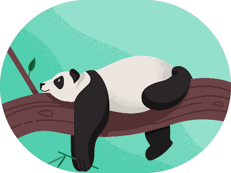 Foto 5 de Santé Odontologia Especializada