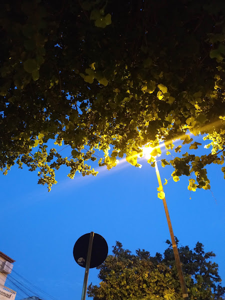 Foto de Santo Antônio