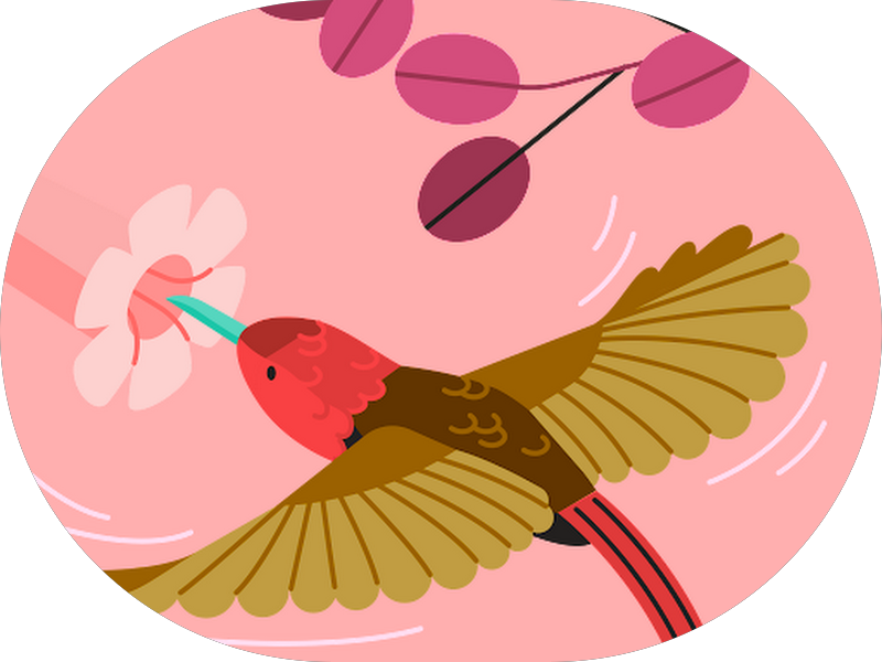 Foto 5 de SBCO Clinica Odontologica