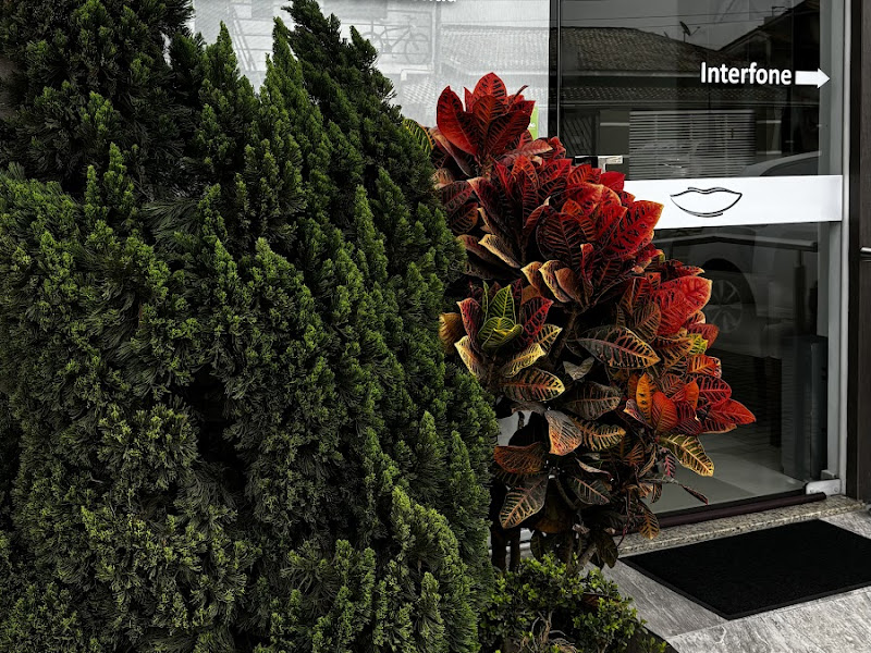 Foto de Schroeder Odontologia