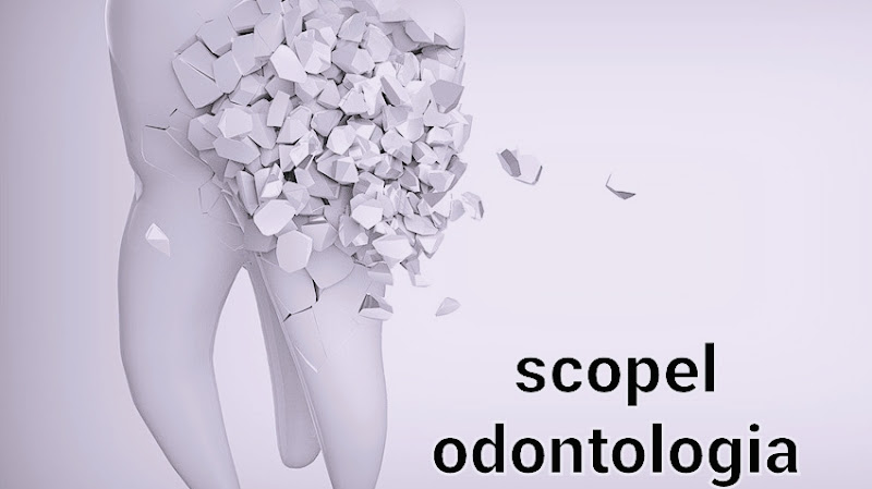Foto 2 de scopel odontologia