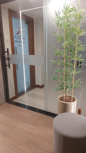 Foto 2 de Seidler Odontologia