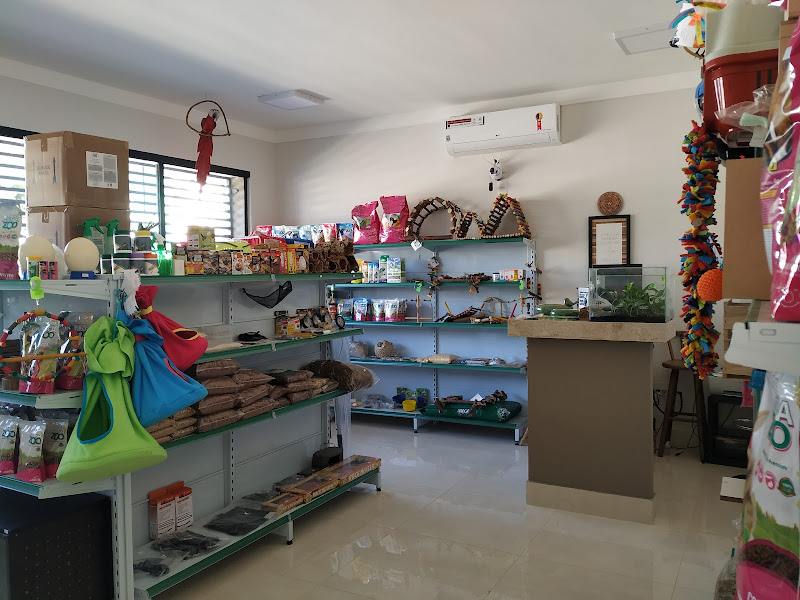 Foto 3 de Selva Urbana Clínica de Pets Não Convencionais