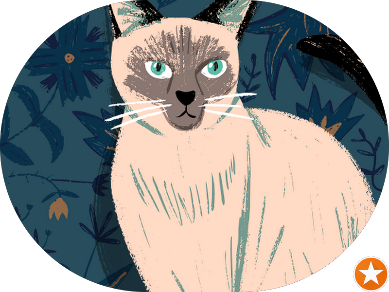 Foto 3 de Semeodonto