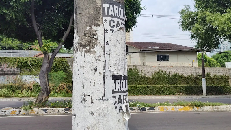 Foto 3 de Sero - Serviços Especializados em Radiologia Odontológica