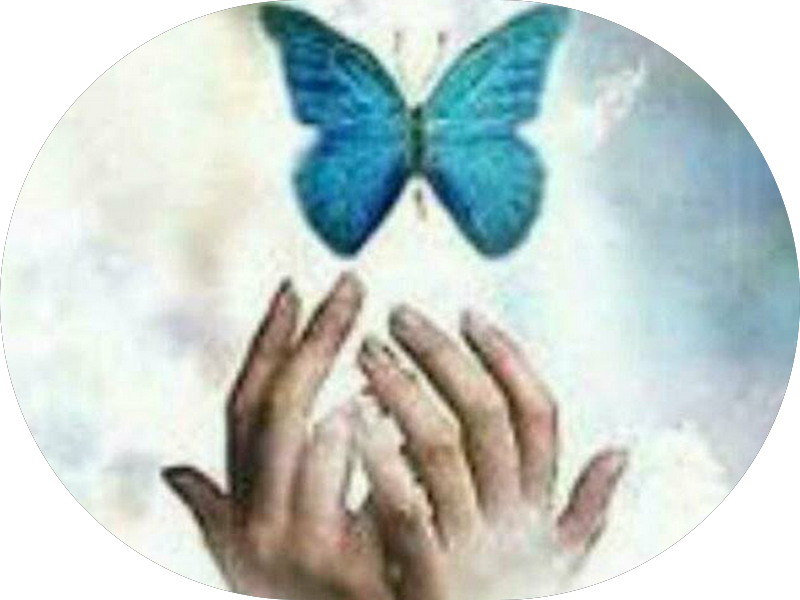 Foto 5 de Sesc Saúde