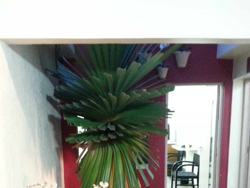 Foto 2 de Sindi Odonto Centro Médico Odontológico Ss