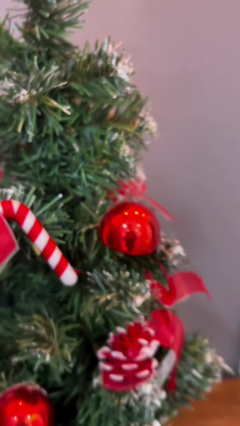 Foto 4 de Smalto Clínica Odontológica | Implante Dentário | Prótese Dentária | Dentista em Blumenau SC