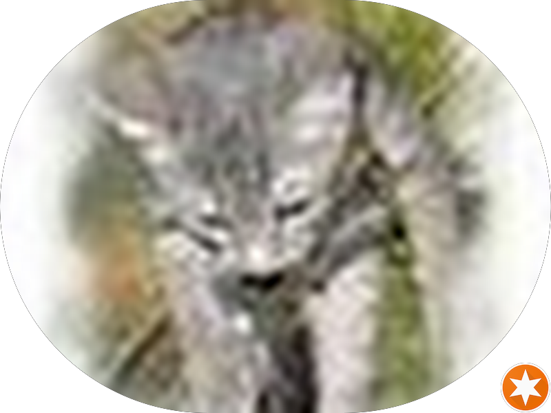 Foto 4 de Smile Lovers | Seu dentista no Batel em Curitiba