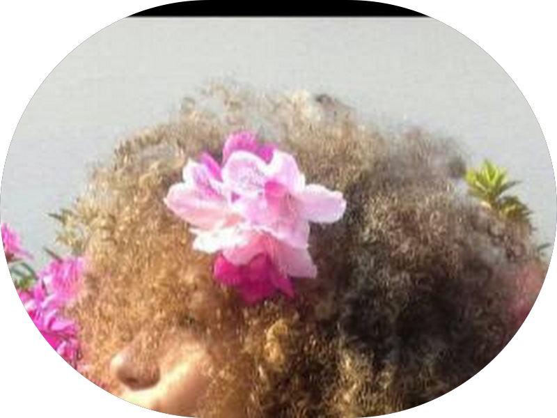 Foto 4 de Solange Silveira de Almeida Gomes