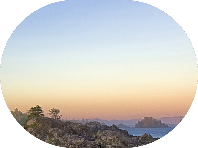 Foto 6 de Sonrie Odontologia Especializada