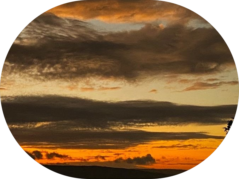 Foto 3 de Sorria + Camaçari