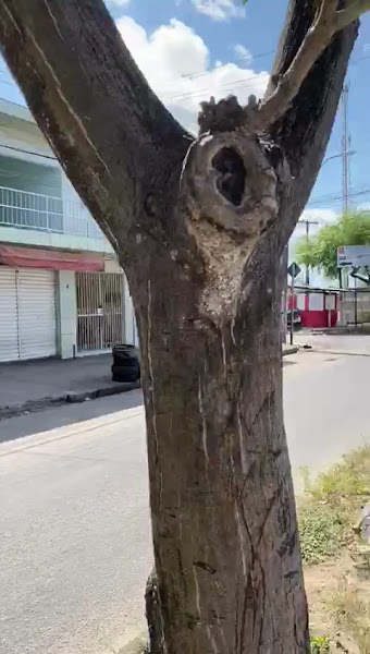 Foto 3 de Sorria Clínicas Odontológicas