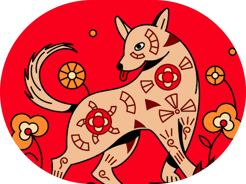 Foto 4 de Sorria Natal - Centro