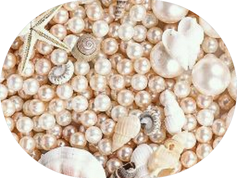 Foto 5 de Sorria Natal - Centro