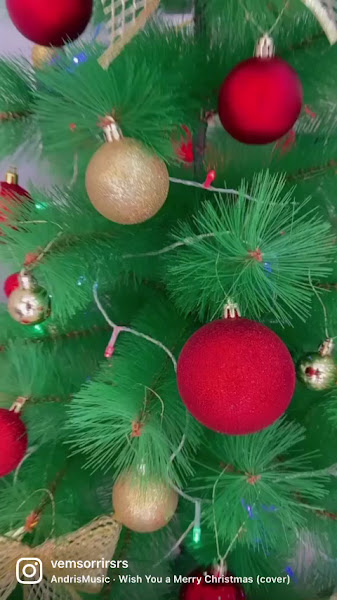 Foto 4 de Sorria Pedreira | Clinico Geral l Dentista em Pedreira l Implantes e Próteses Dentárias l Ortodontia l Limpeza