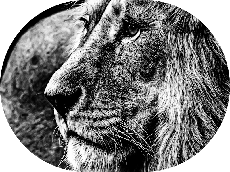 Foto 4 de Sorria Pernambuco - Boa Vista