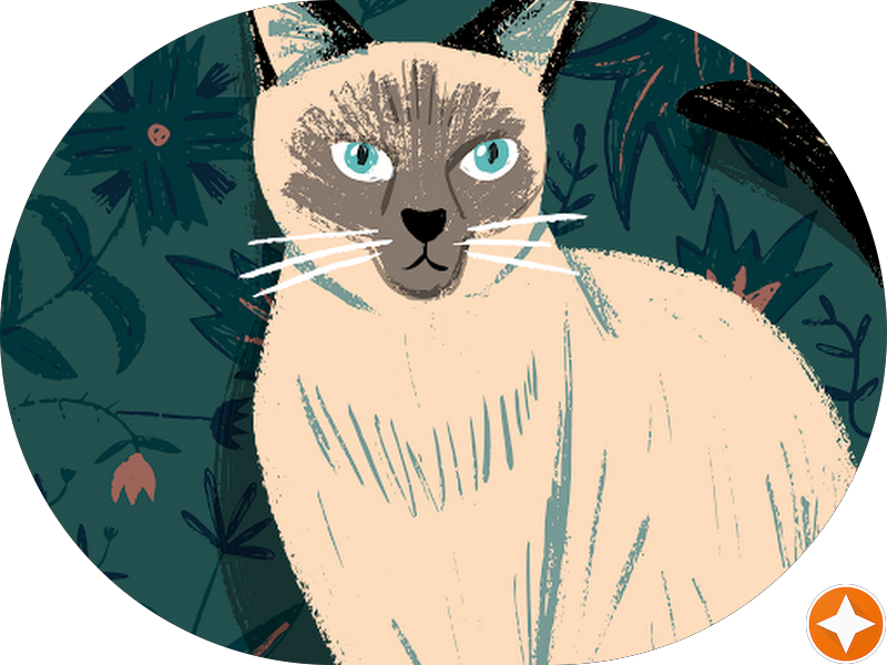 Foto 3 de Sorria Prazeres