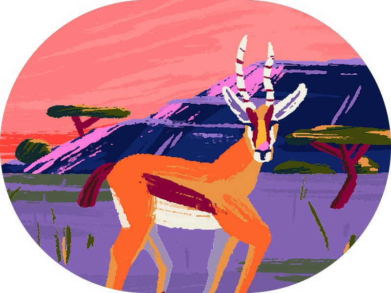 Foto 7 de Sorria Studio Odontologia - Unidade Atiradores