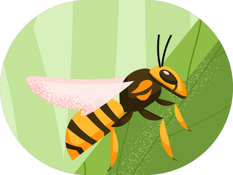 Foto 7 de Sorridents Alto Do Ipiranga