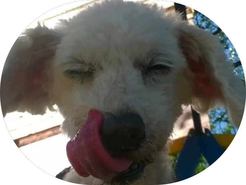 Foto 4 de Sorridents Carrão: Dentista, Clínica Odontológica, Clareamento em São Paulo