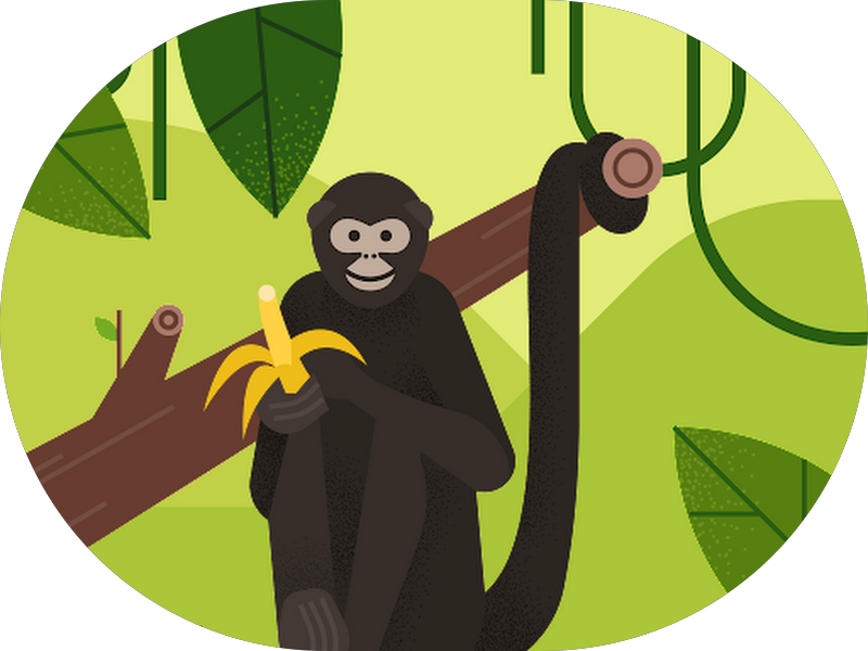 Foto 6 de Sorridents Jardim Bonfiglioli: Dentista, Clínica Odontológica em São Paulo