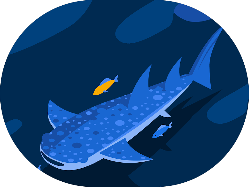 Foto 5 de Sorridents Leste: Dentista, Clínica Odontológica em São José Dos Campos