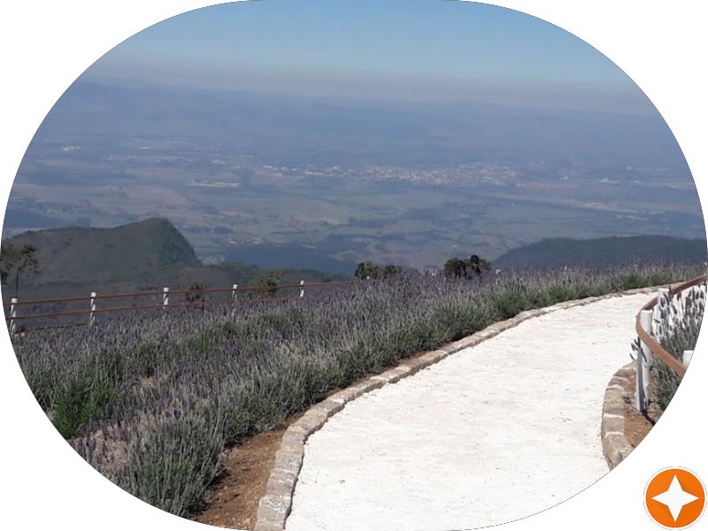 Foto 6 de Sorridents Novo Osasco