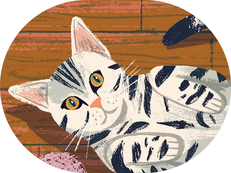 Foto 3 de Sorridents Taubaté: Dentista, Clínica Odontológica, Clareamento