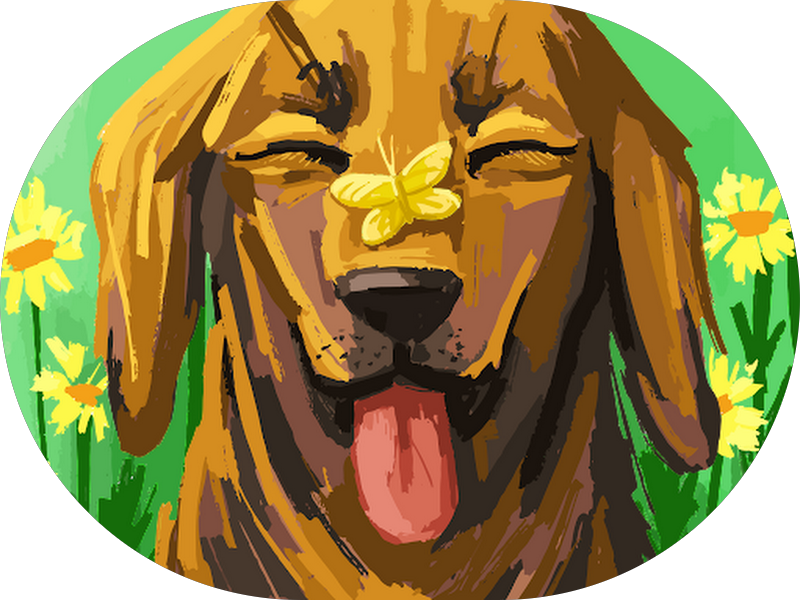 Foto 5 de Sorrié Clínica Odontológica