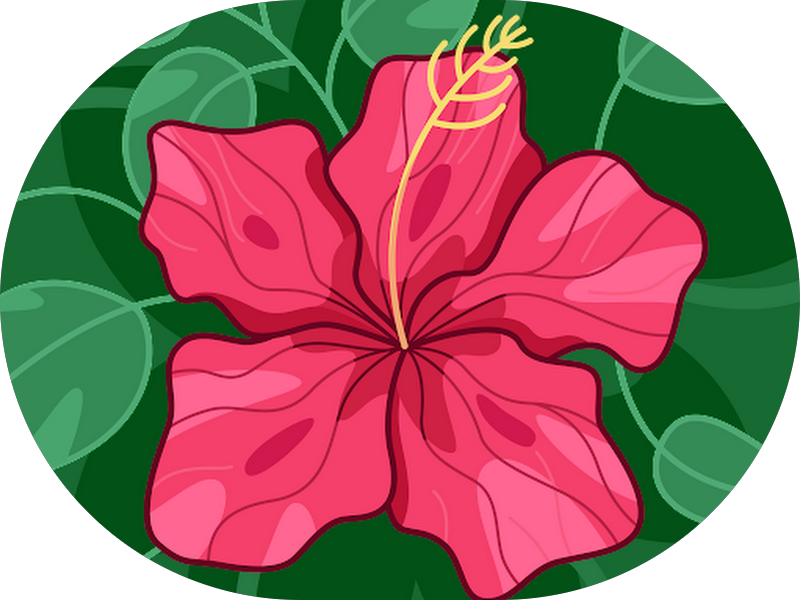 Foto 6 de Sorrifácil Campinas - Implantes Dentários, Clareamento, lentes de contato, alinhador invisível e mais!