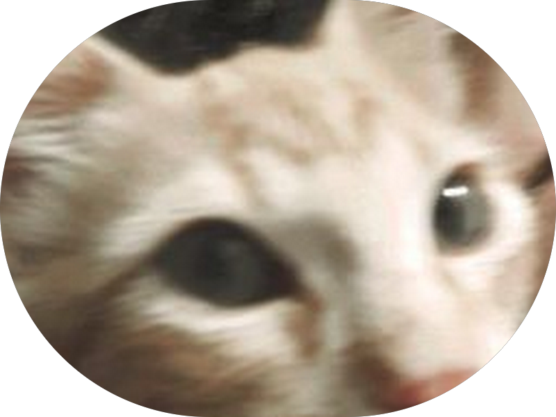 Foto 6 de Sorrifacil Ibipora - Implantes Dentarios, Clareamento, lentes de contato, alinhador invisível e mais!