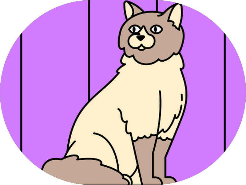 Foto 4 de Sorrir Art - Consultório Odontológico