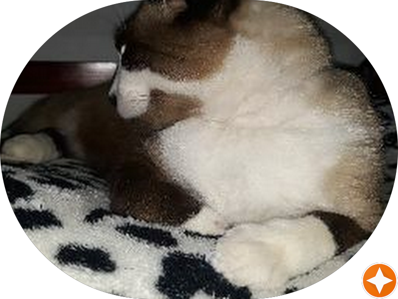 Foto 2 de Sorrire Esthetic Center