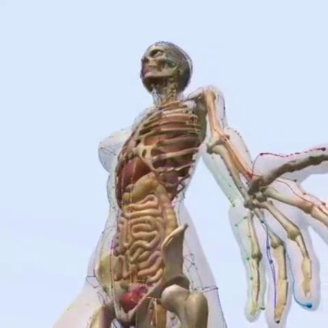 Foto 3 de Sorriso da Alma - Odontologia Integrativa e Biológica