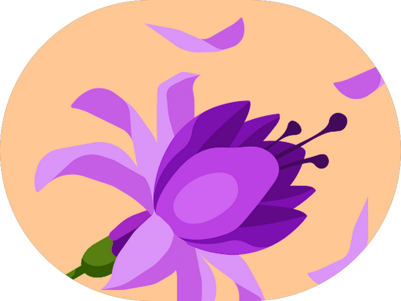 Foto 2 de Sorriso Imagem Pinhais