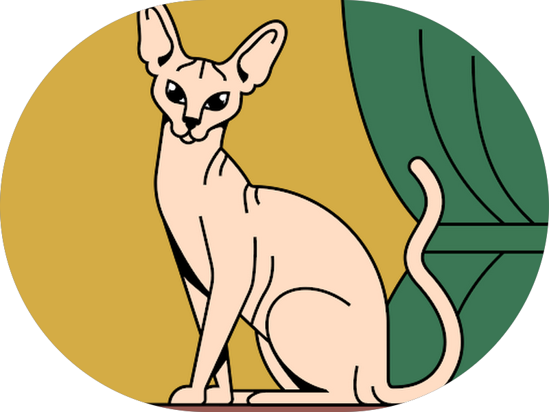 Foto 3 de +Sorriso Odontologia - Ermelino Matarazzo