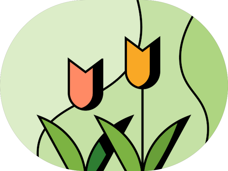 Foto 6 de Sourire Odontologia Especializada