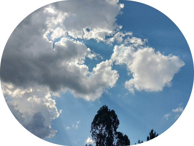 Foto 2 de Spa do Sorriso Odontologia