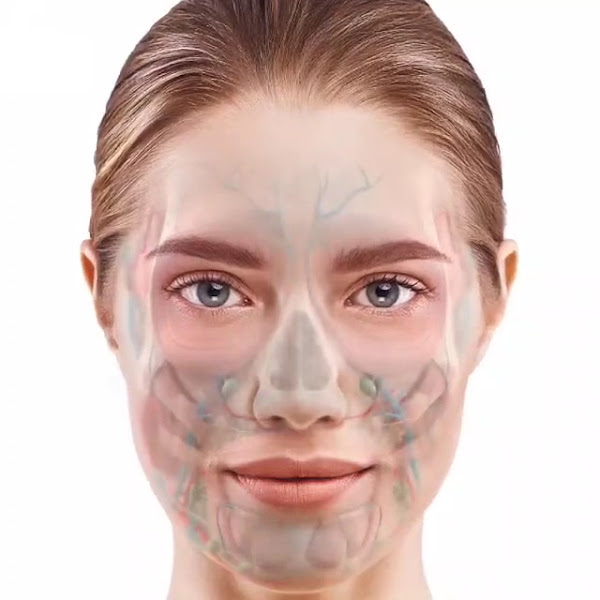 Foto 2 de Speciala Odontologia & Saúde