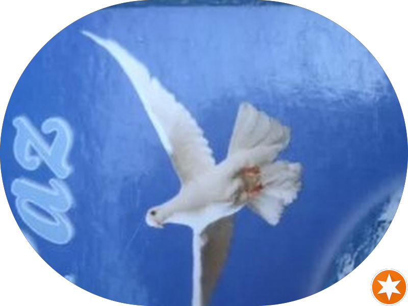 Foto 2 de Speciale Odontologia