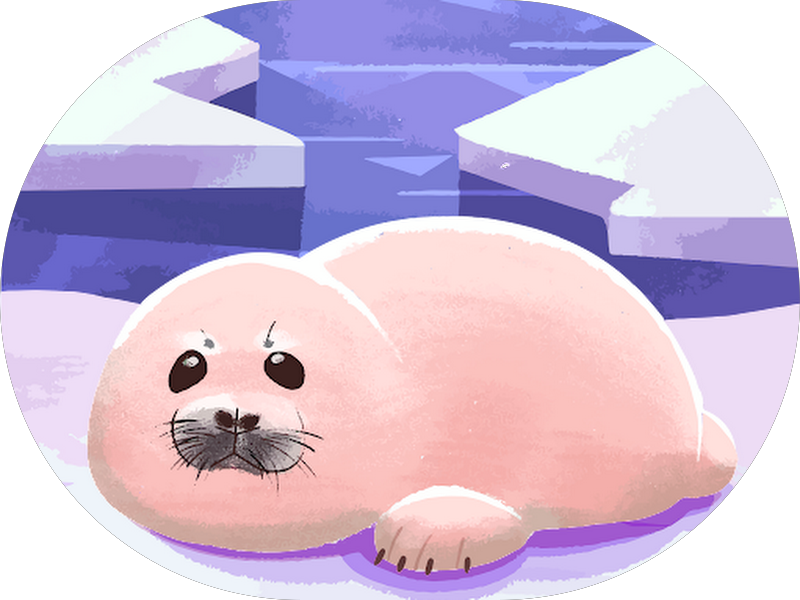 Foto 2 de Star Sorrindo Vila Talarico | Clínico Geral | Implante Dentário | Prótese Dentária | E muito mais