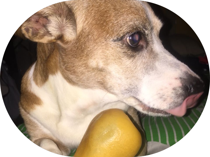 Foto 6 de Stories Odontologia Divinópolis - Implante e Prótese Fixa