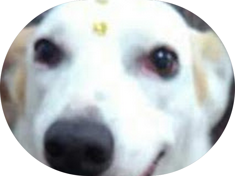 Foto 3 de Studio do Sorriso