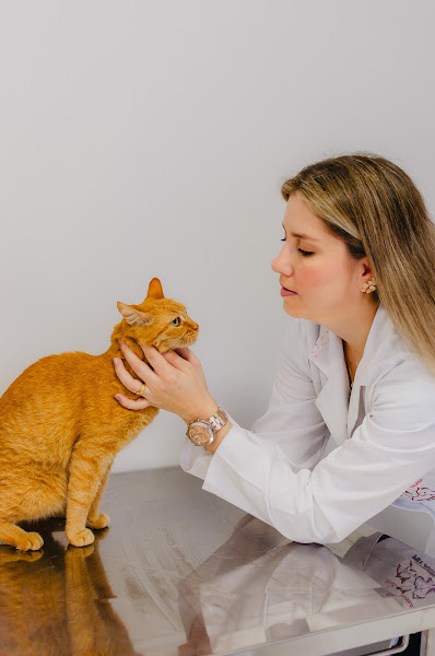 Foto 3 de Sulayne Mabile Odonto Veterinária - Dentista para Cães e Gatos