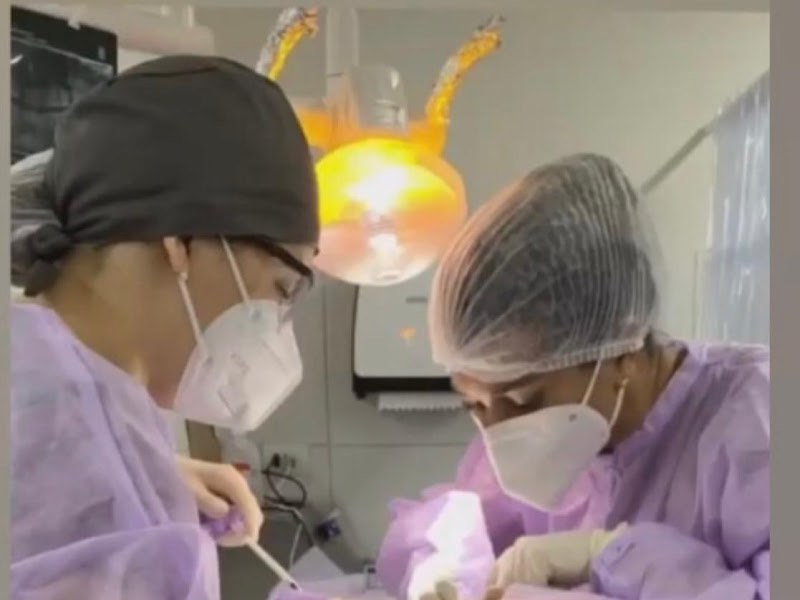 Foto 7 de Super Odonto